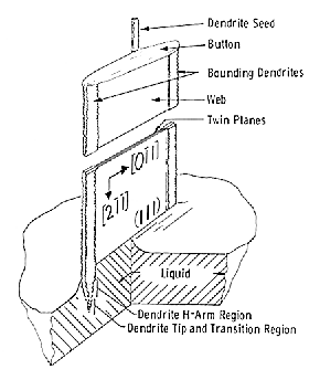 Denedritic web grOwth