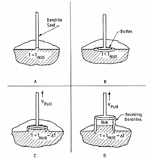 Denedritic web seeding