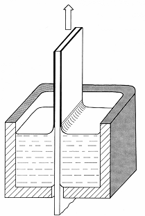 S-web principle