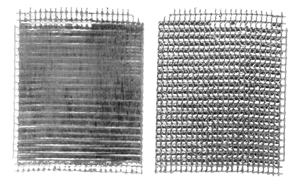 S-web frOnt and back