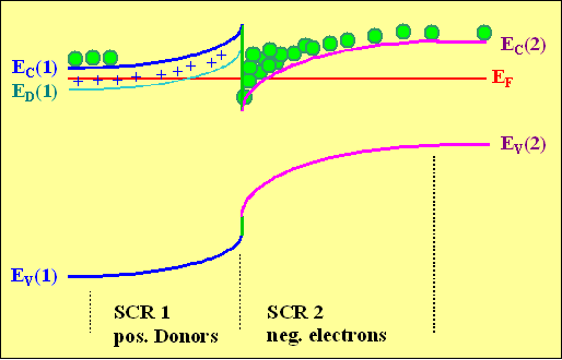 Extreme isotype junction