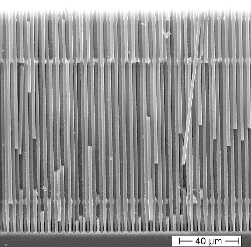 Si nanowires