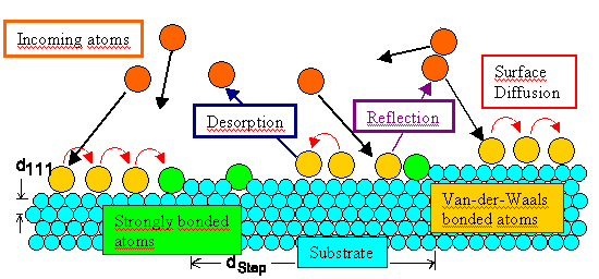 First steps in thin layer nucleation