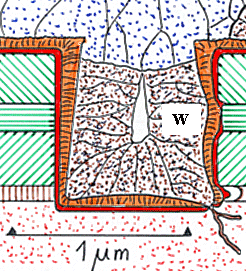 Contact hole etching